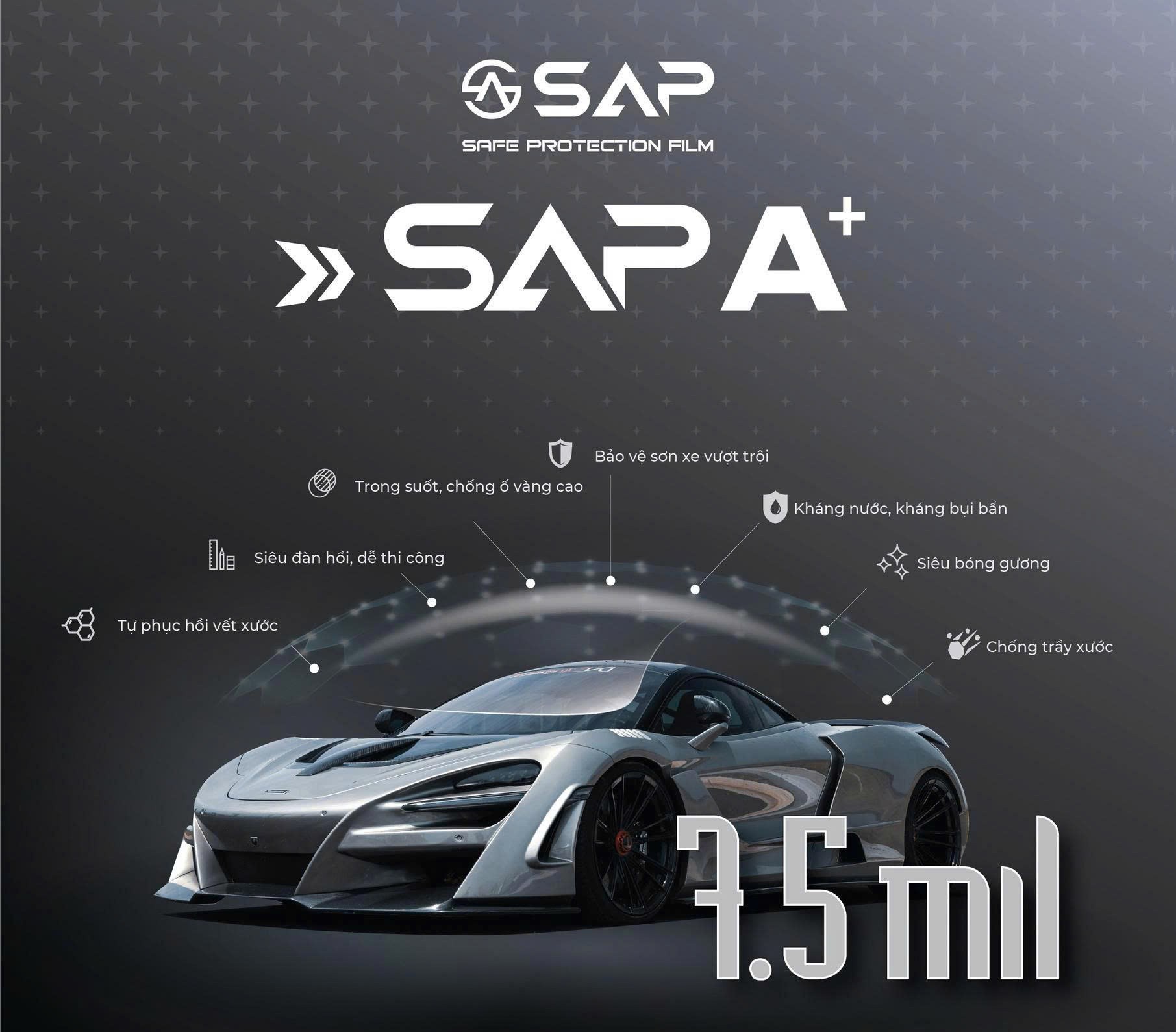 Giới thiệu về PPF SAP A+