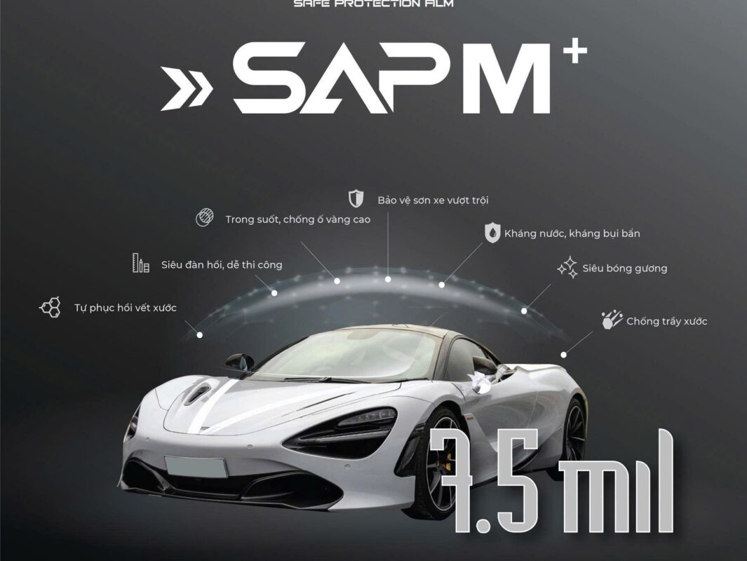 Giới thiệu về PPF SAP M+