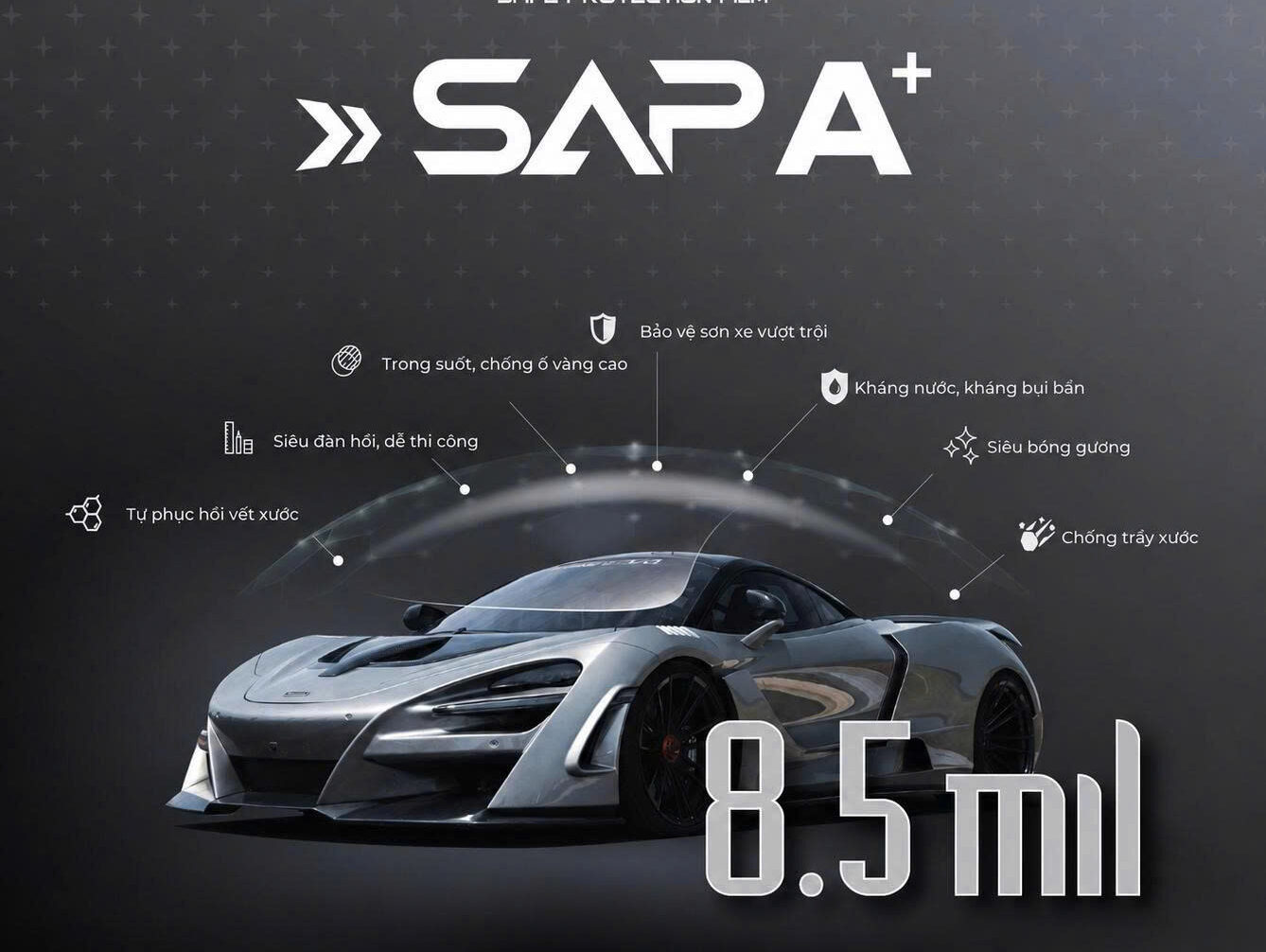 Giới thiệu về PPF SAP A+